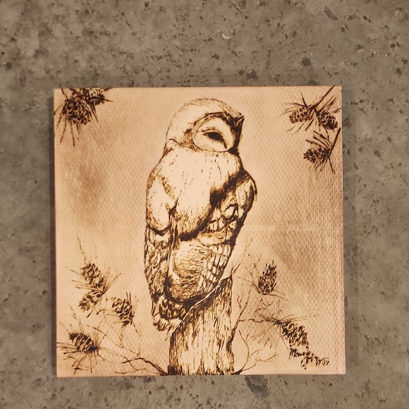 Other - Wood Burned Owl Art on Square Panel